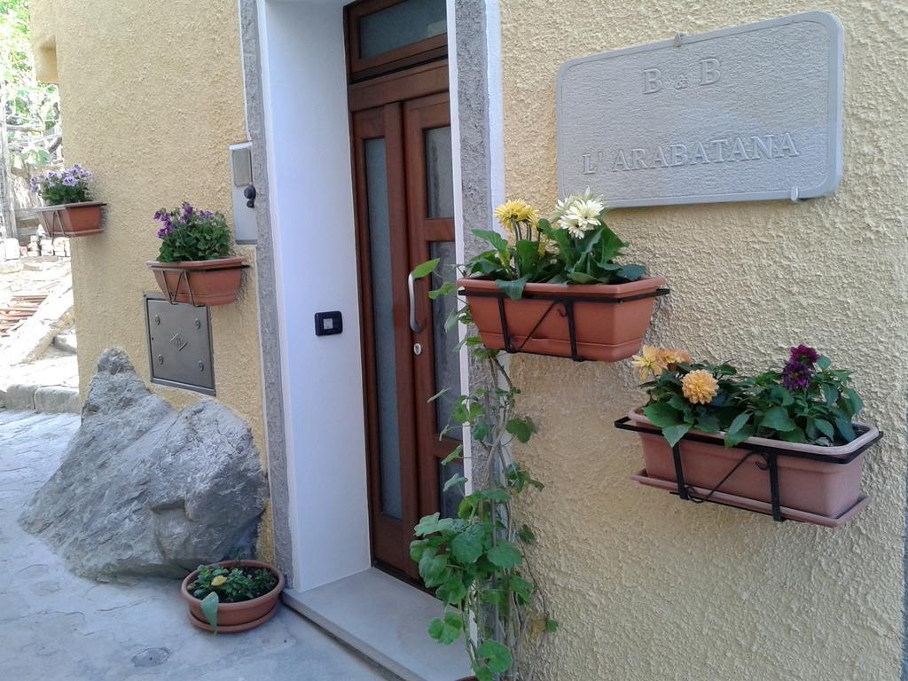 B&B L'Arabatana Pietrapertosa Exterior photo